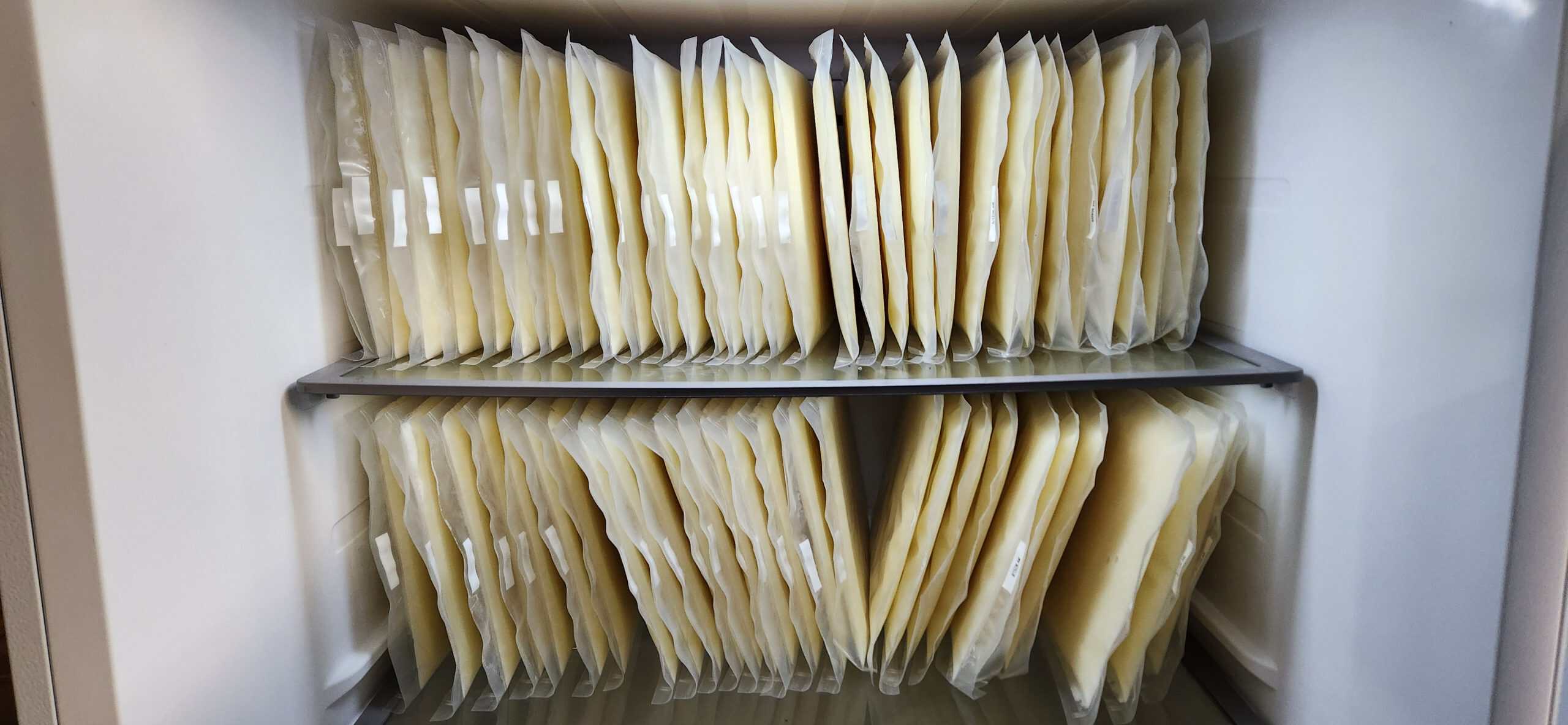 raw goat milk frozen in vertical sleeves on 2 shelves in a freezer